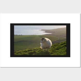 Here's Looking At Ewe, Kid! Posters and Art